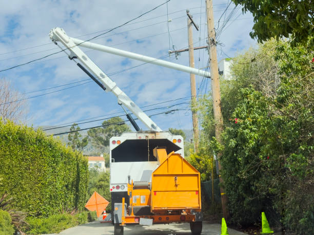 Utility pole installation crew positioning poles with professional equipment.