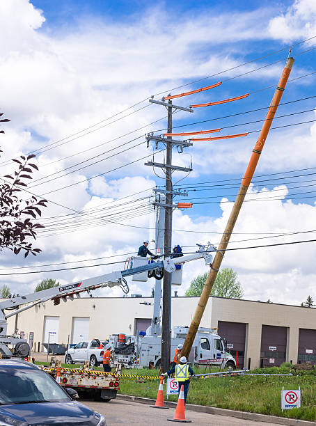 Professional Florida company setting poles securely for lighting projects.