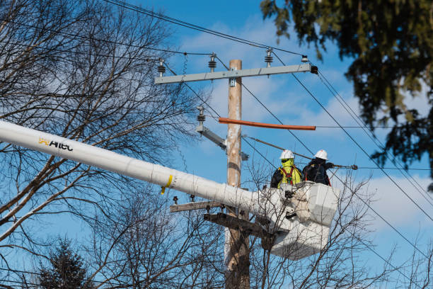 Skilled installers securing utility poles safely at Florida sites.