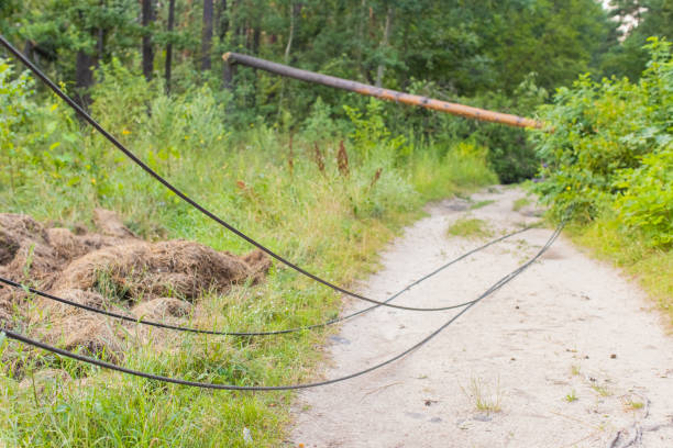 South Florida Pole Setters crew installing new power pole safely professionally.